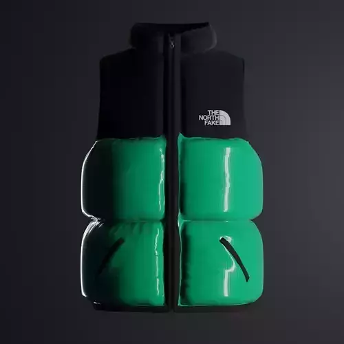 Puffer jacket the north fake