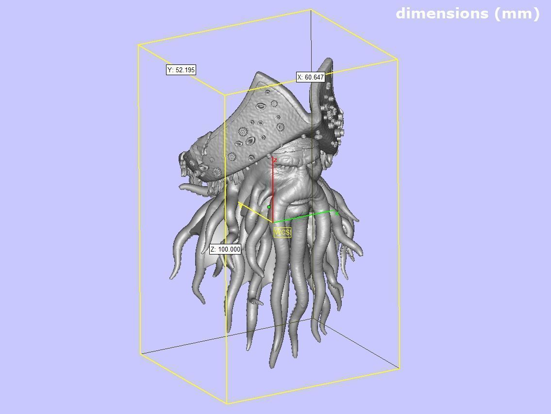 Davy Jones Head 3D print model_35