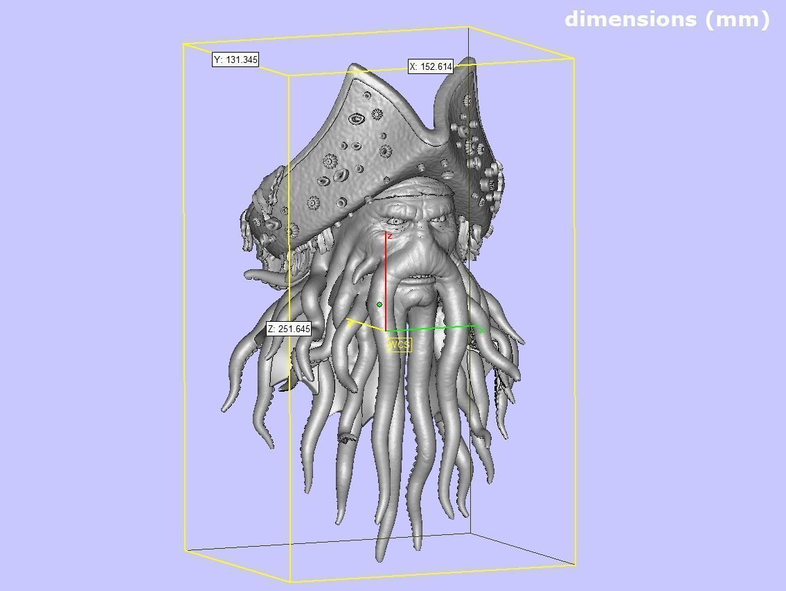 Davy Jones Head 3D print model_33