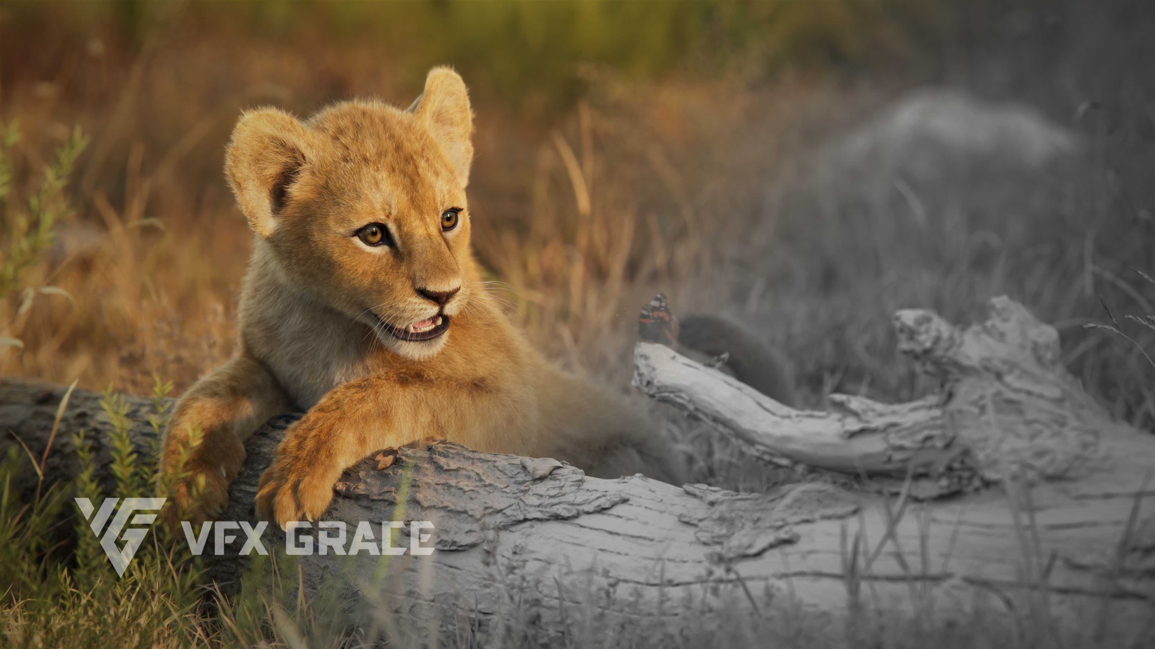 Lion Cub Animated VFX Grace 3D model_4