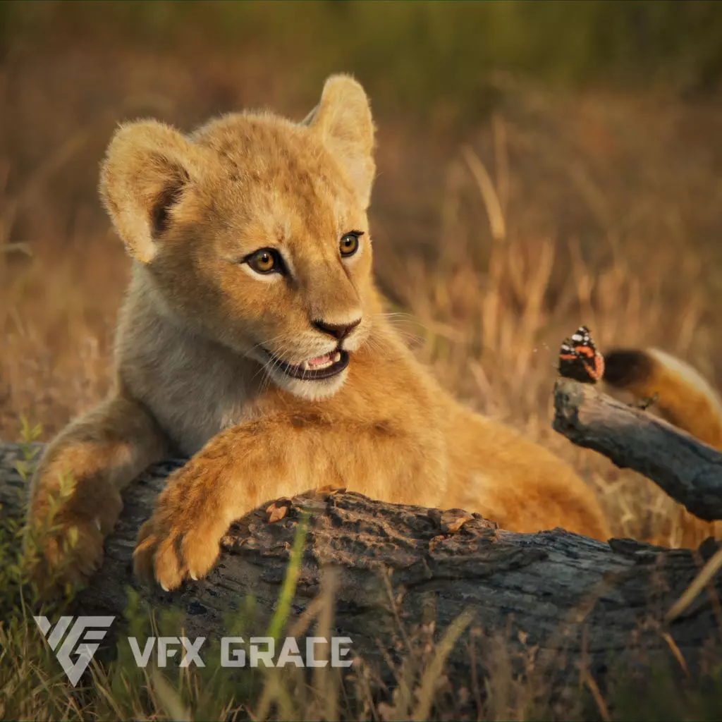 Lion Cub Animated VFX Grace 3D model_0