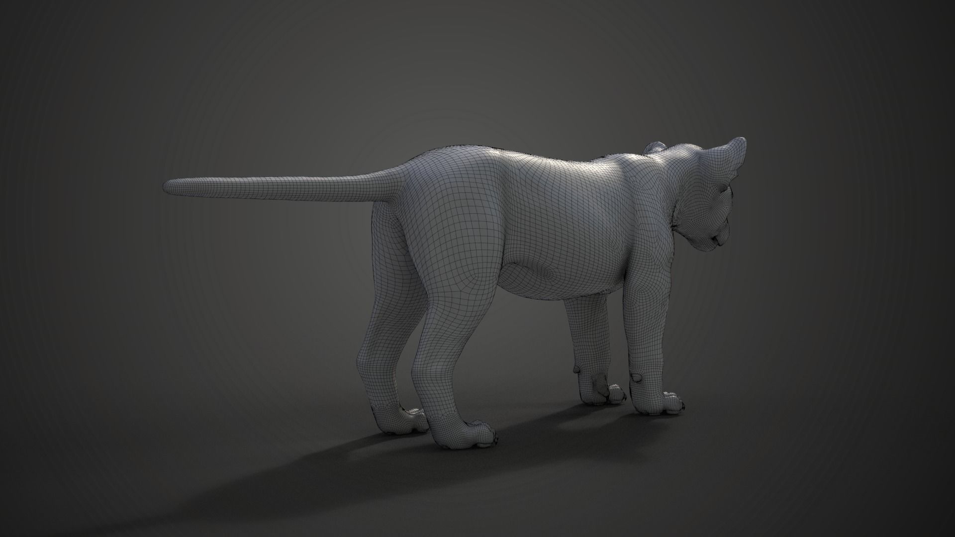 Lion Cub Animated VFX Grace 3D model_26