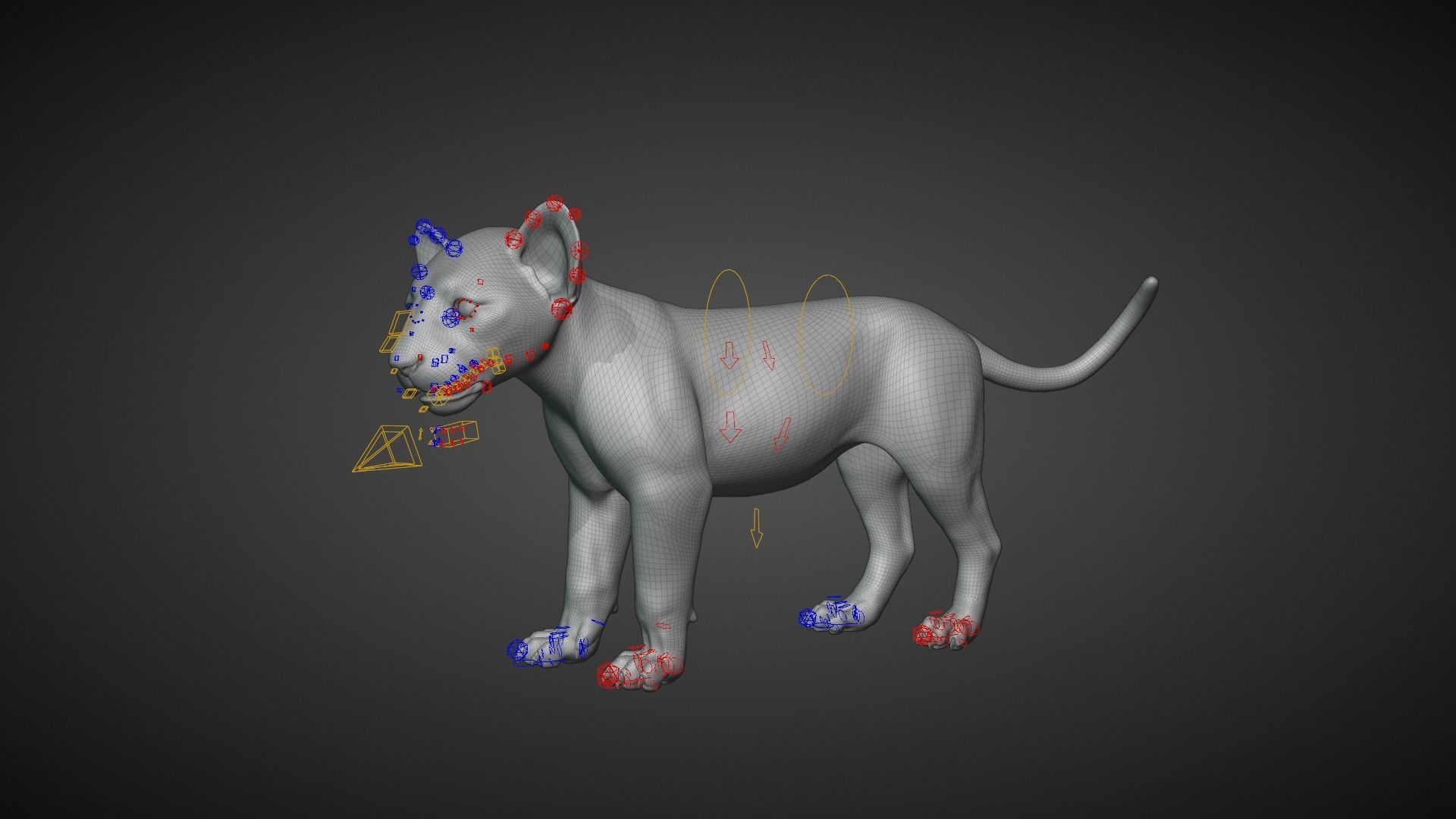 Lion Cub Animated VFX Grace 3D model_18