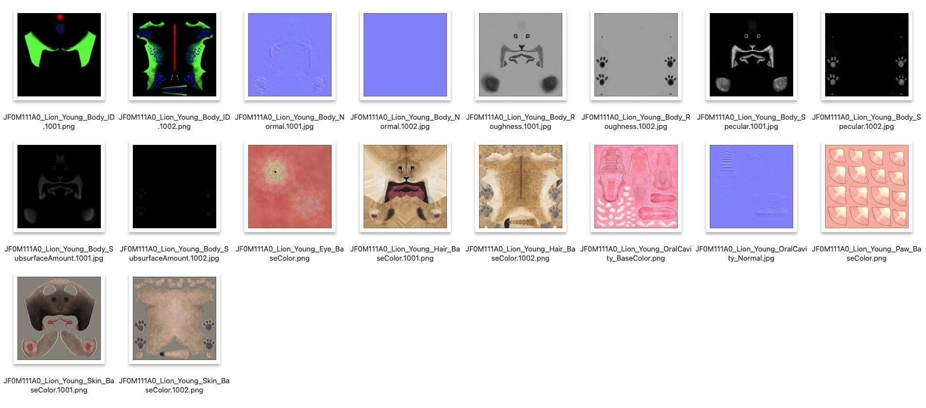 Lion Cub Animated VFX Grace 3D model_27