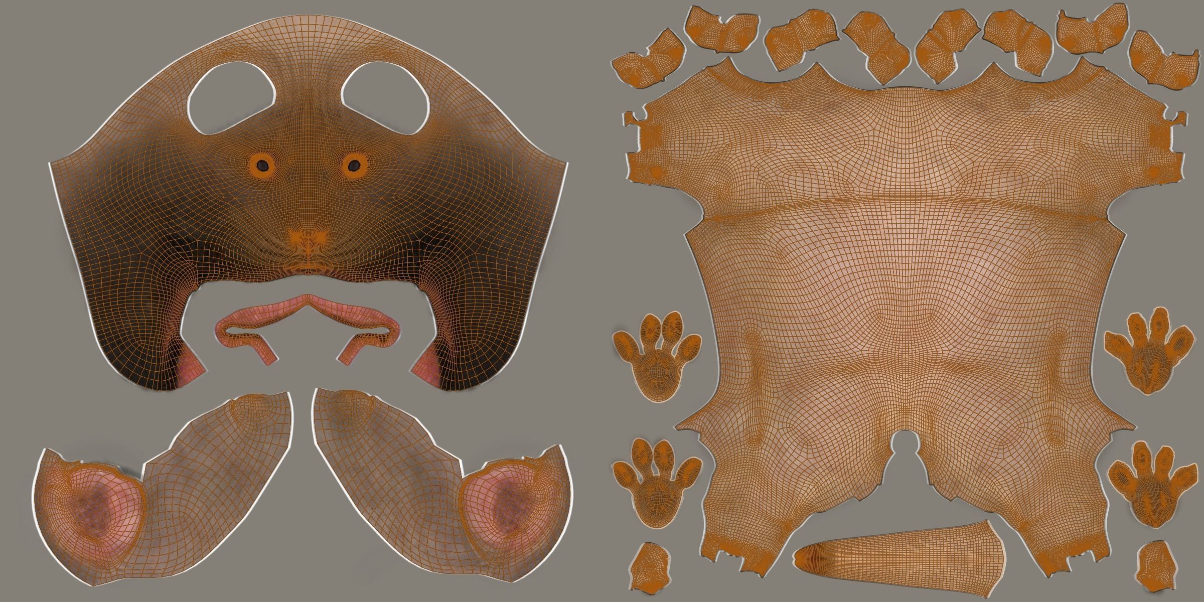 Lion Cub Animated VFX Grace 3D model_31