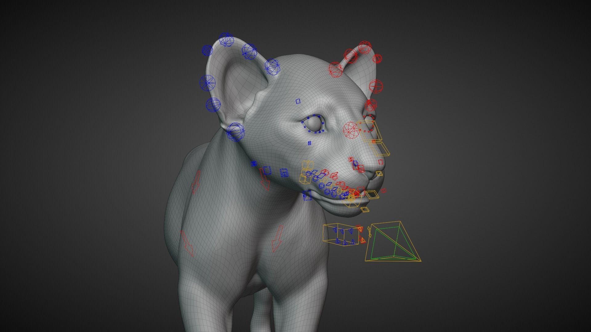 Lion Cub Animated VFX Grace 3D model_22