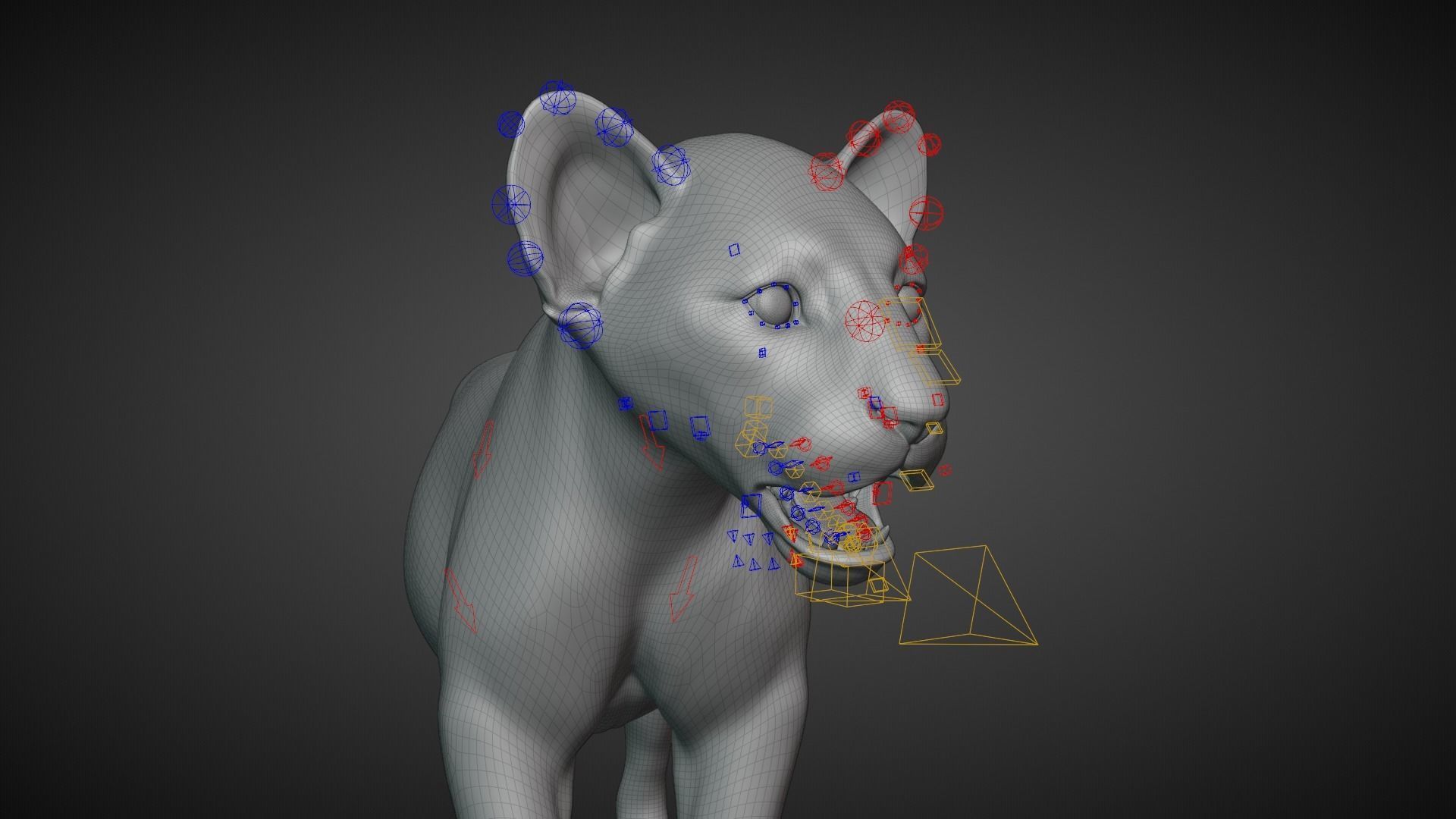 Lion Cub Animated VFX Grace 3D model_21