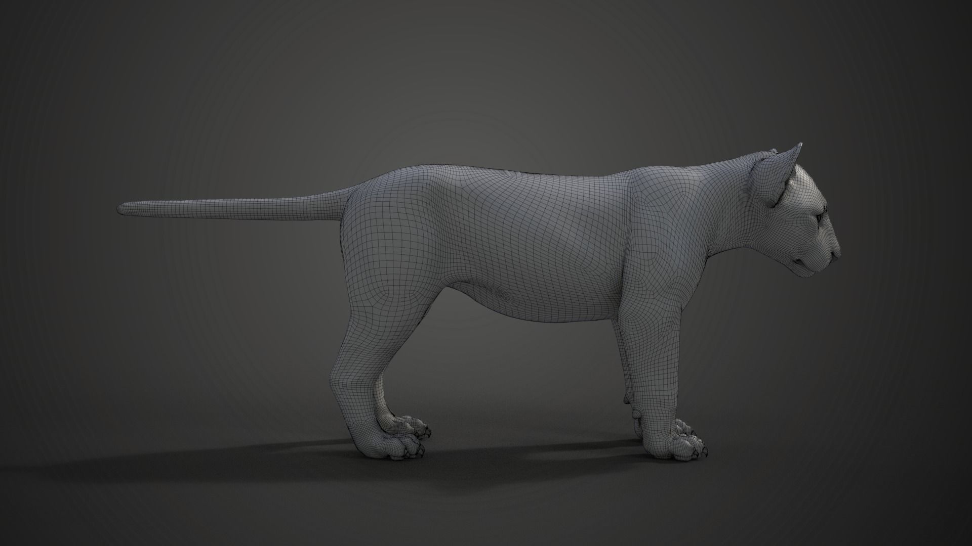 Lion Cub Animated VFX Grace 3D model_25