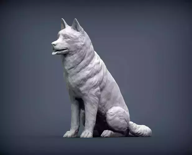 Husky dog 3D print model