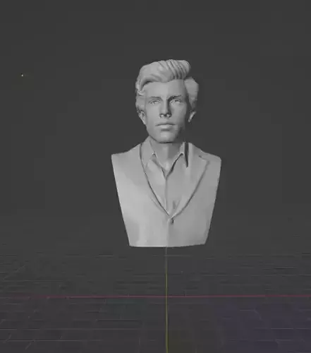 Shawn Mendes 3D print model