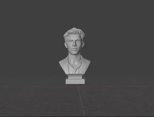 Shawn Mendes 3D print model Shawn Mendes 3D print model