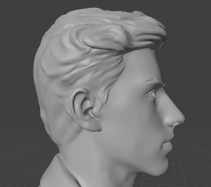 Shawn Mendes 3D print model_14