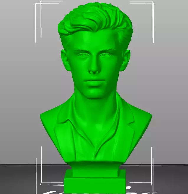 Shawn Mendes 3D print model_17