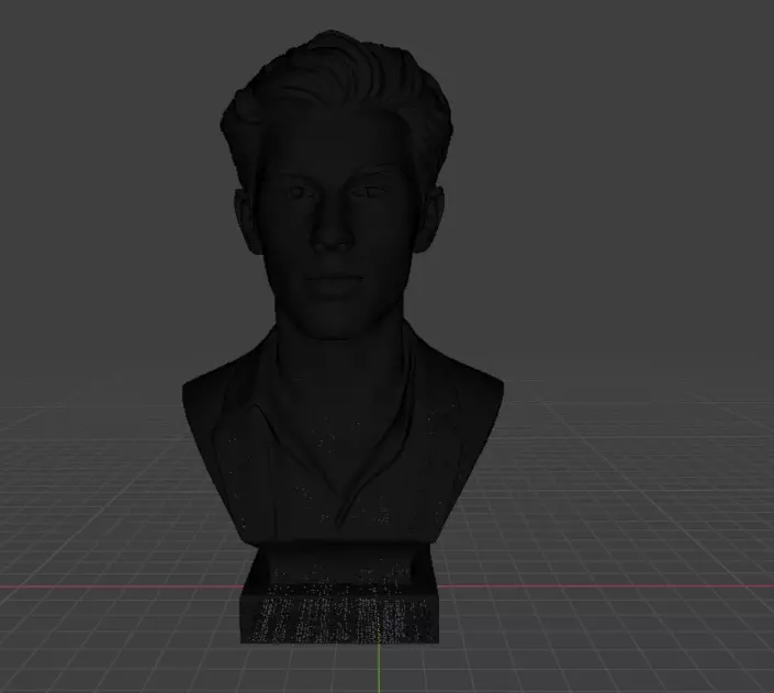 Shawn Mendes 3D print model_16