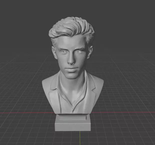 Shawn Mendes 3D print model_20