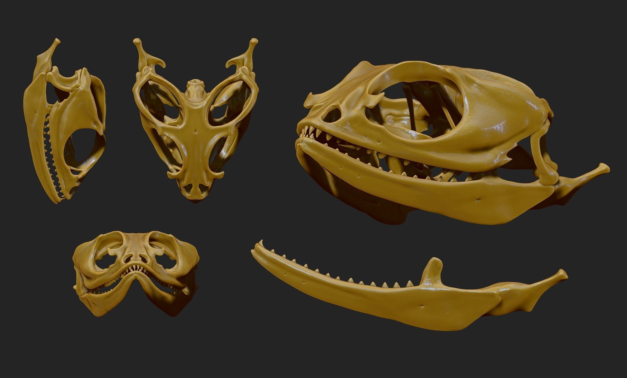 Bearded Dragon Skull - CNC and 3D print model_4