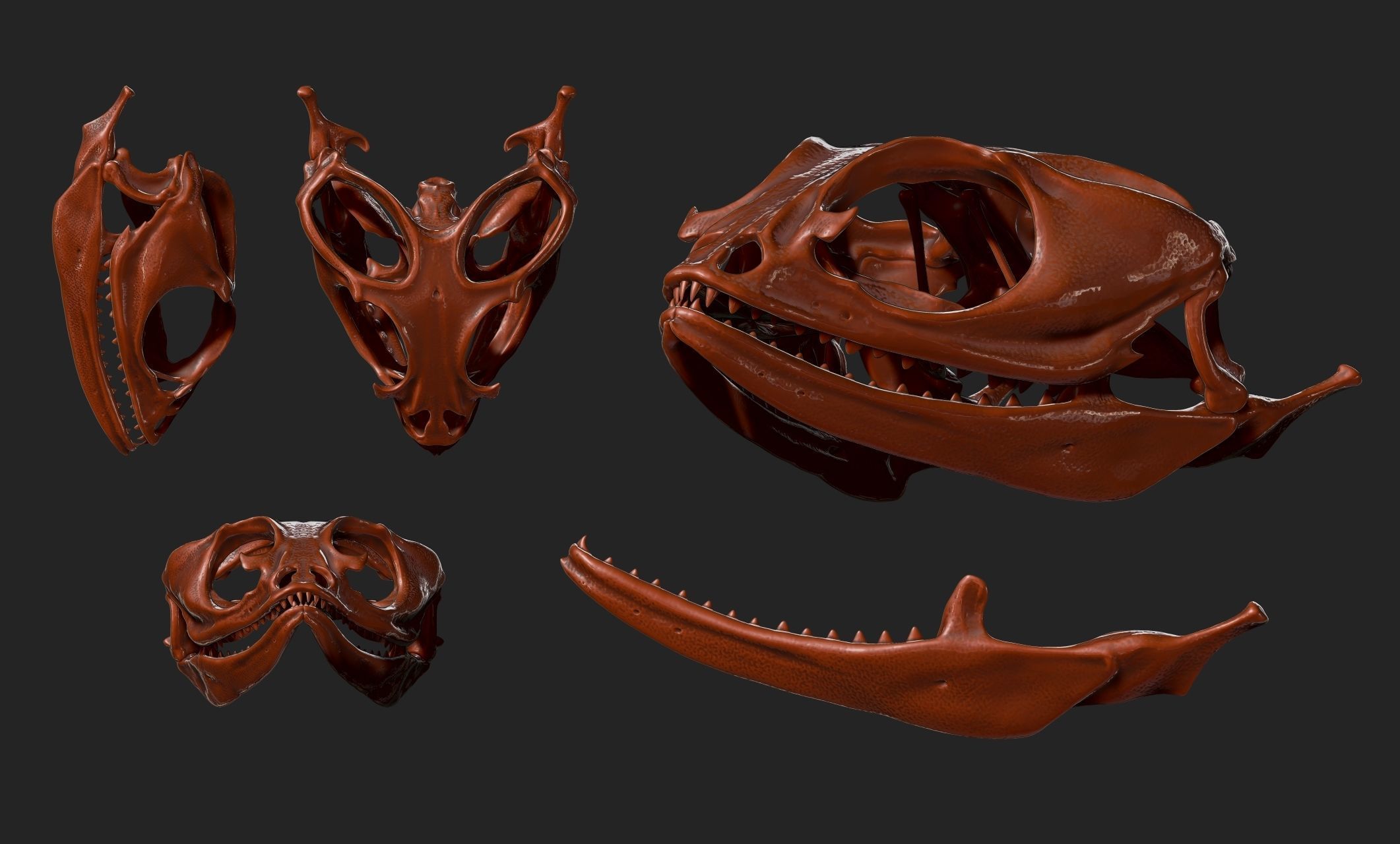 Bearded Dragon Skull - CNC and 3D print model_10