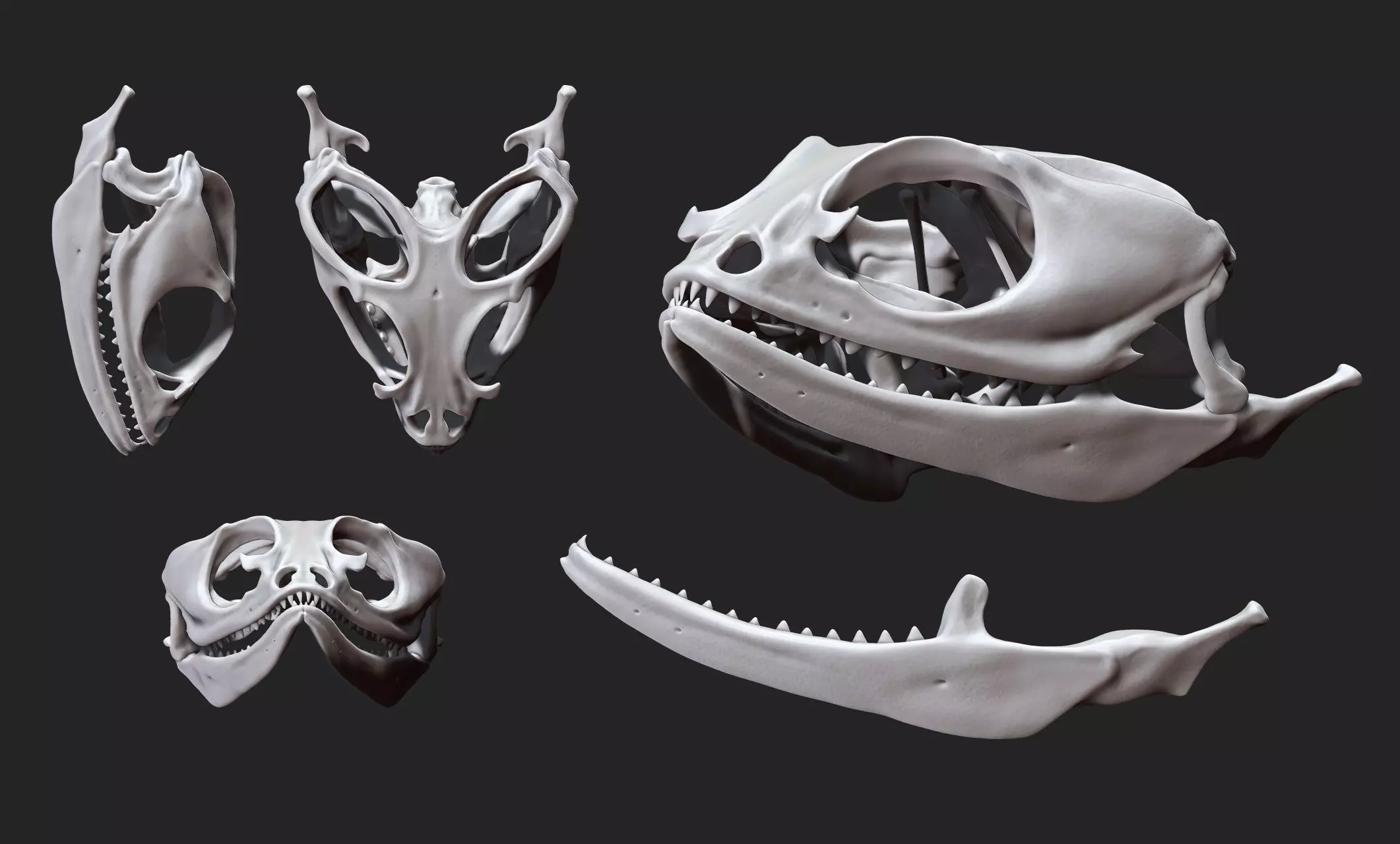 Bearded Dragon Skull - CNC and 3D print model_0