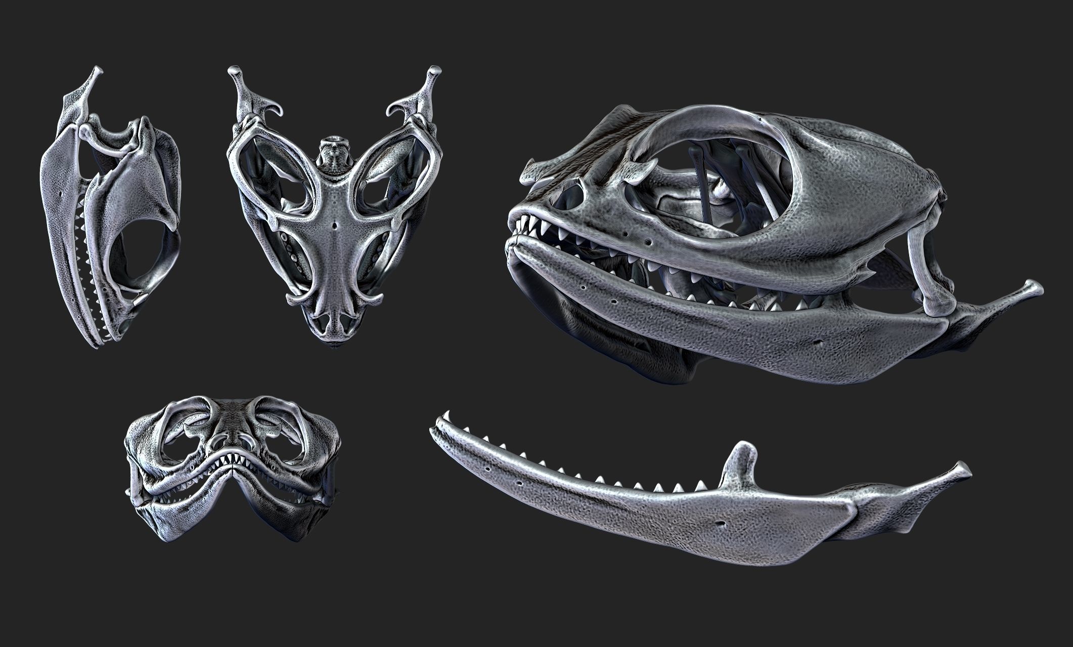 Bearded Dragon Skull - CNC and 3D print model_5