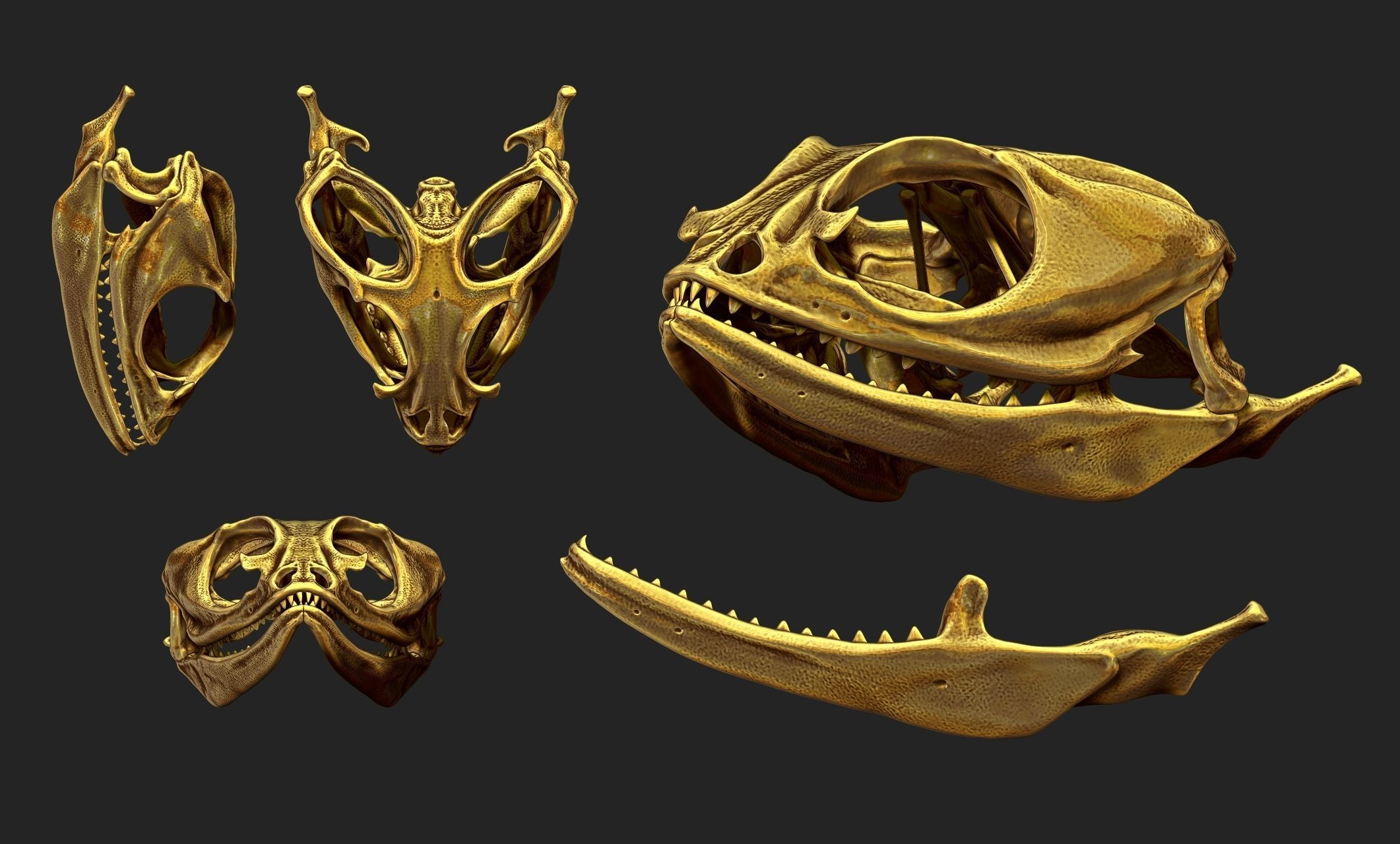 Bearded Dragon Skull - CNC and 3D print model_6