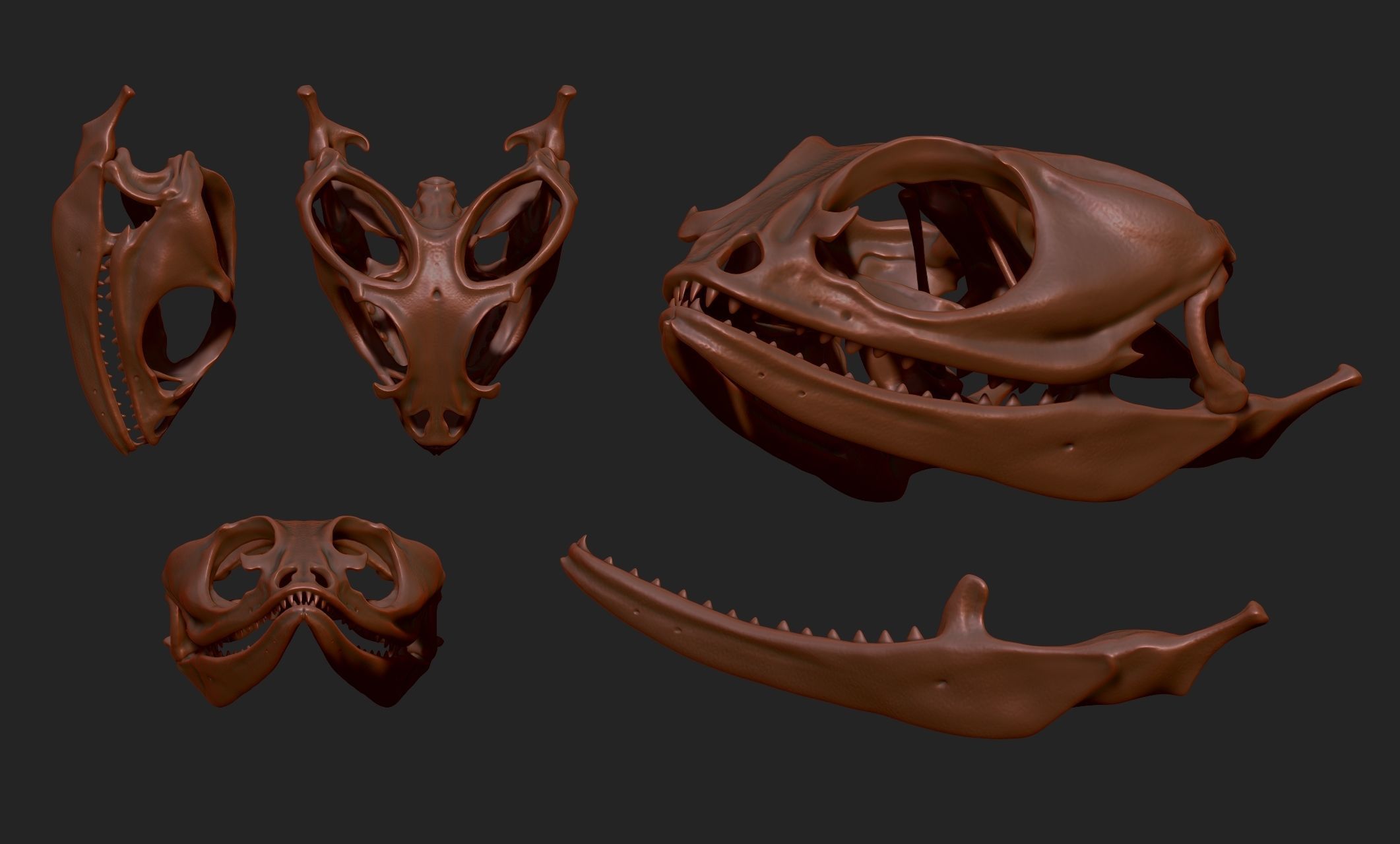 Bearded Dragon Skull - CNC and 3D print model_23