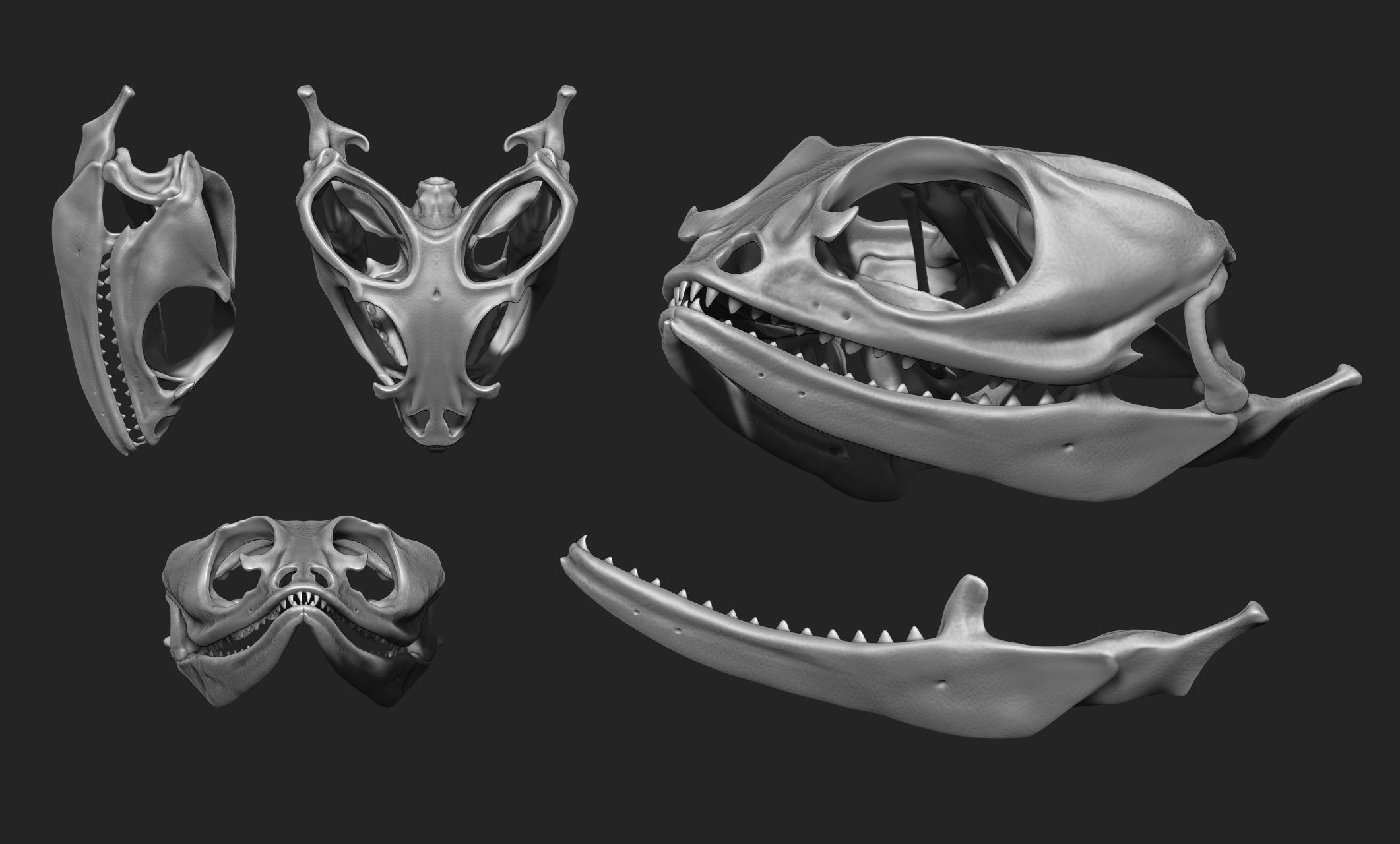 Bearded Dragon Skull - CNC and 3D print model_2