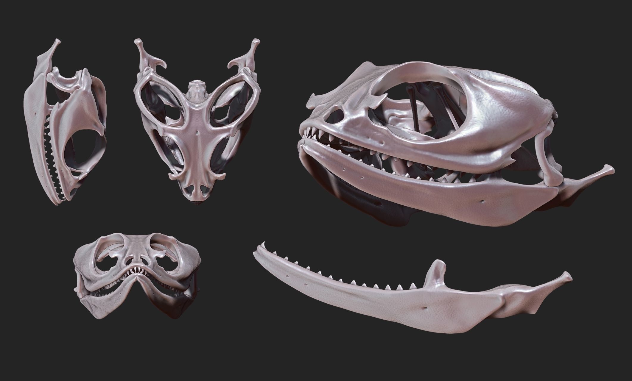 Bearded Dragon Skull - CNC and 3D print model_11