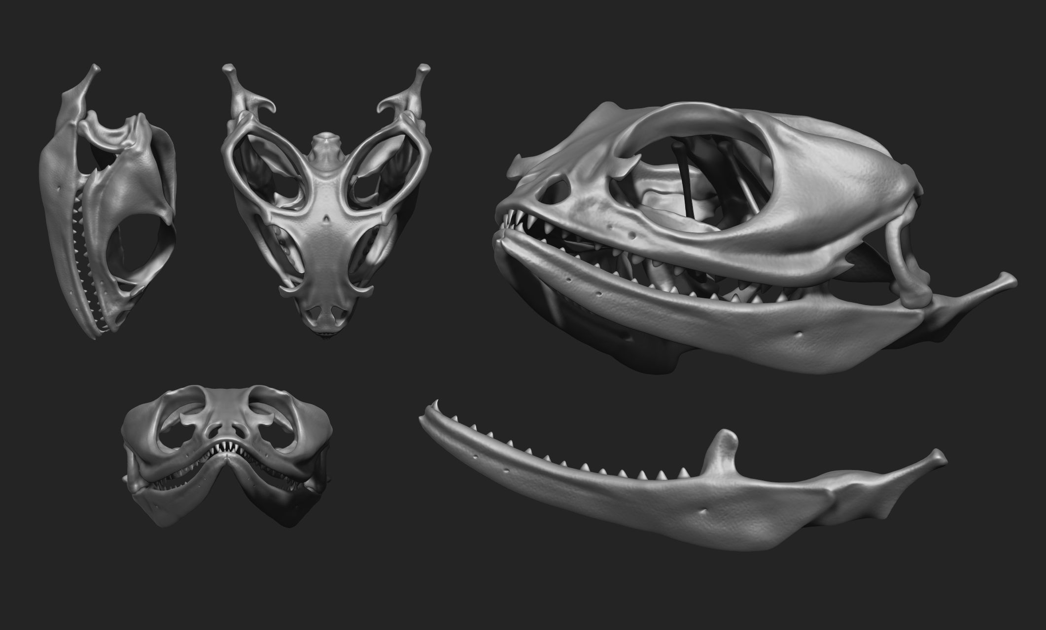 Bearded Dragon Skull - CNC and 3D print model_18