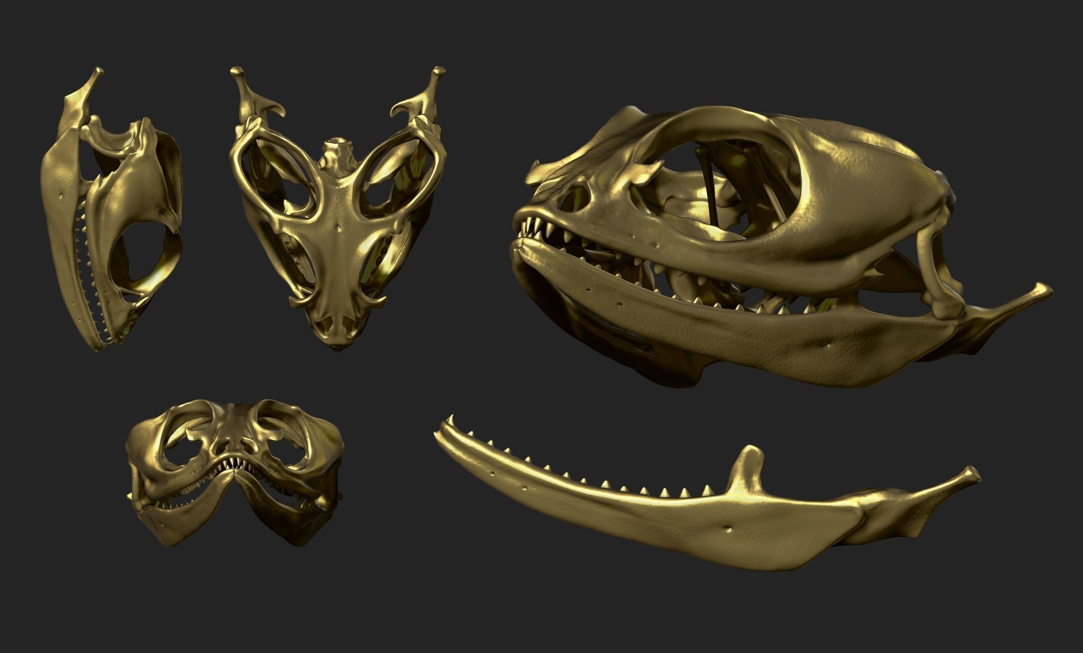 Bearded Dragon Skull - CNC and 3D print model_20