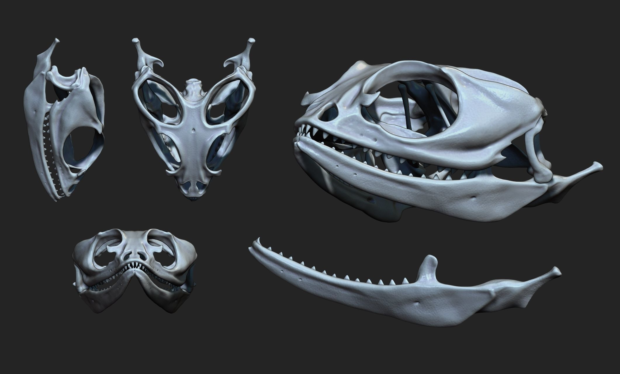 Bearded Dragon Skull - CNC and 3D print model_9