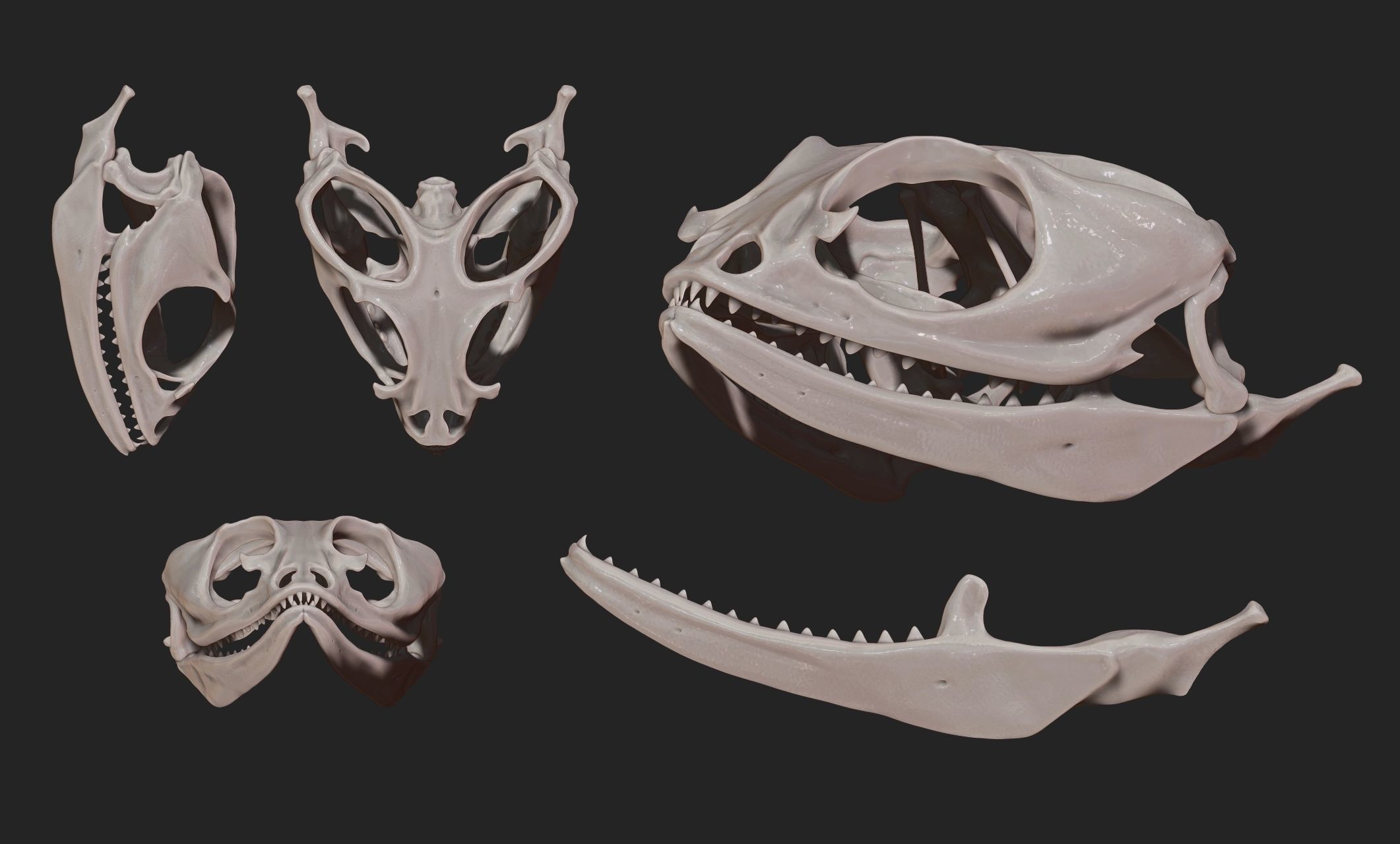Bearded Dragon Skull - CNC and 3D print model_3