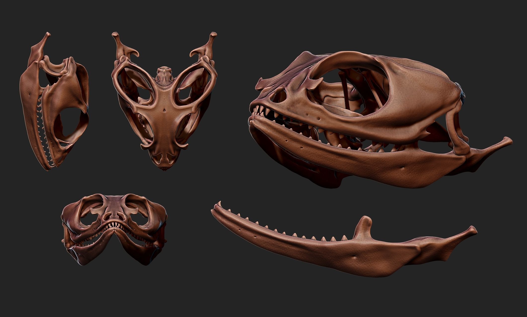 Bearded Dragon Skull - CNC and 3D print model_16