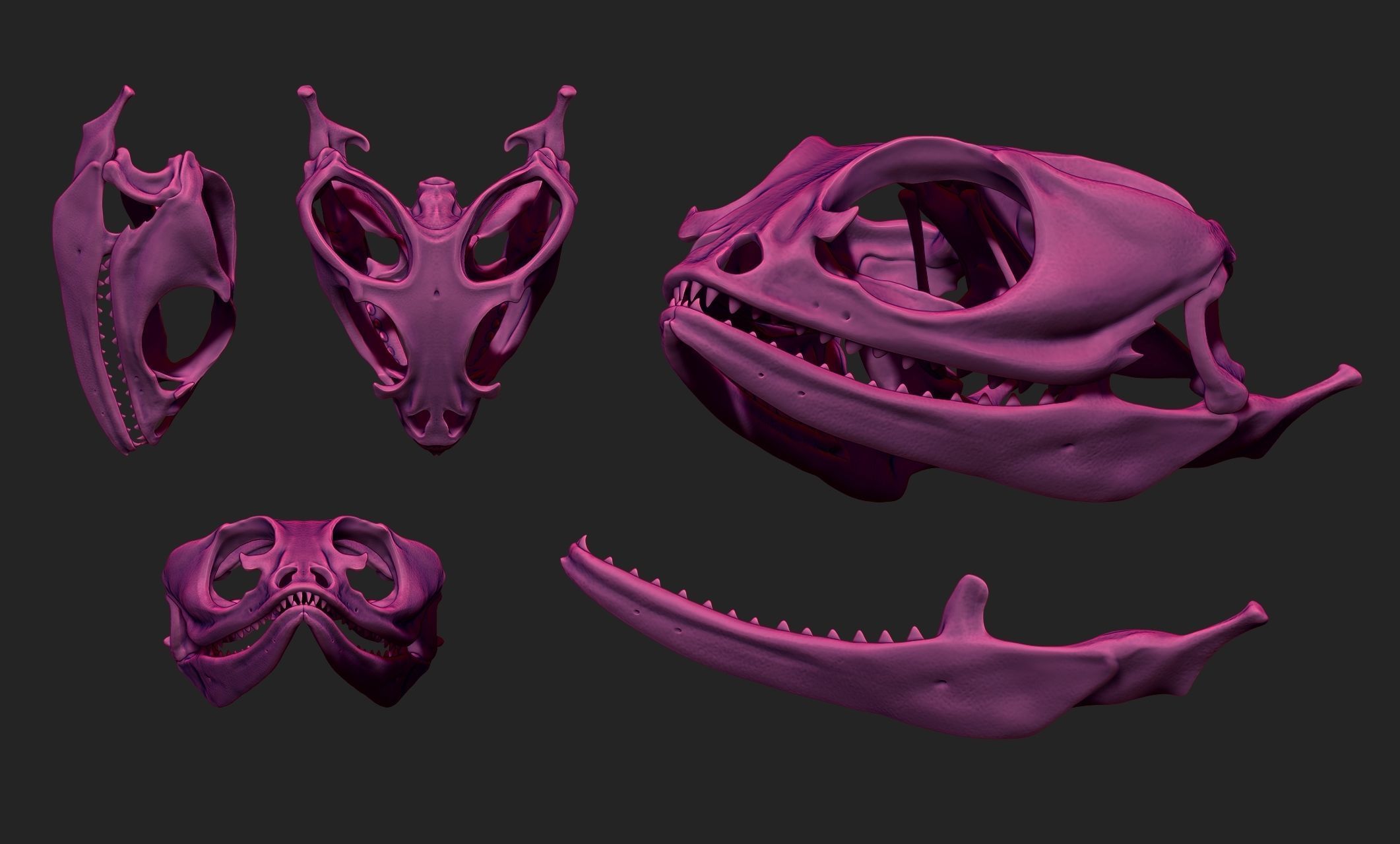 Bearded Dragon Skull - CNC and 3D print model_17