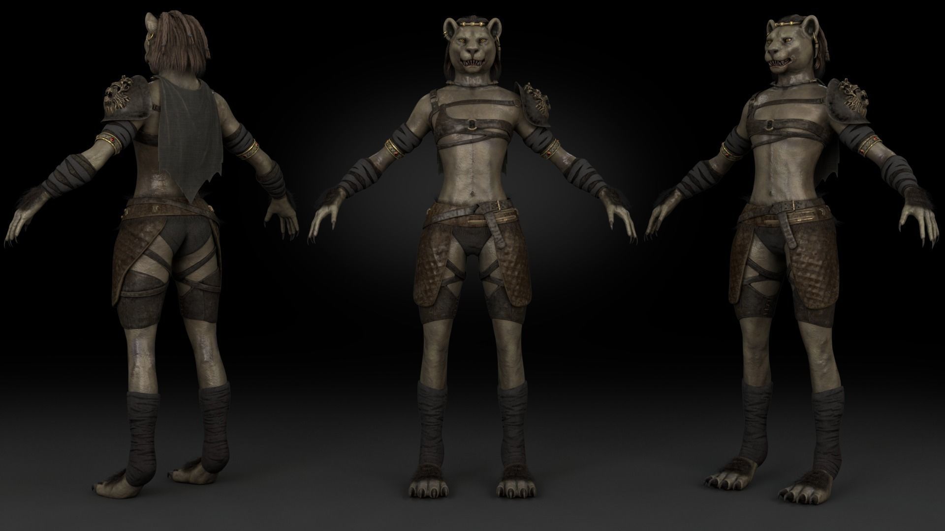 Cat Female Warrior Rigged Low-poly Low-poly 3D model_7