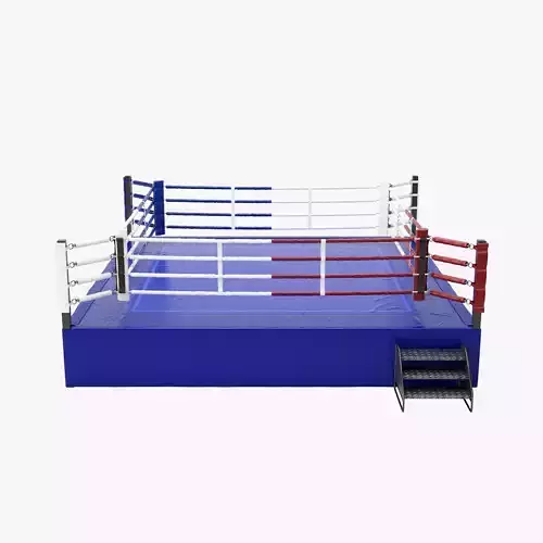 Boxing Ring REGULATION SIZE