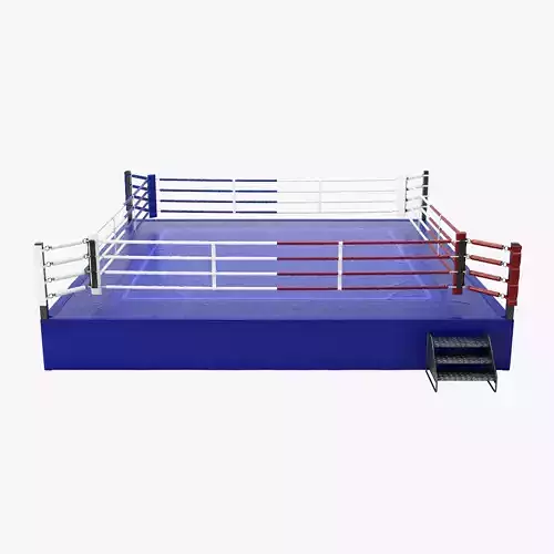 Boxing Ring OVERSIZED