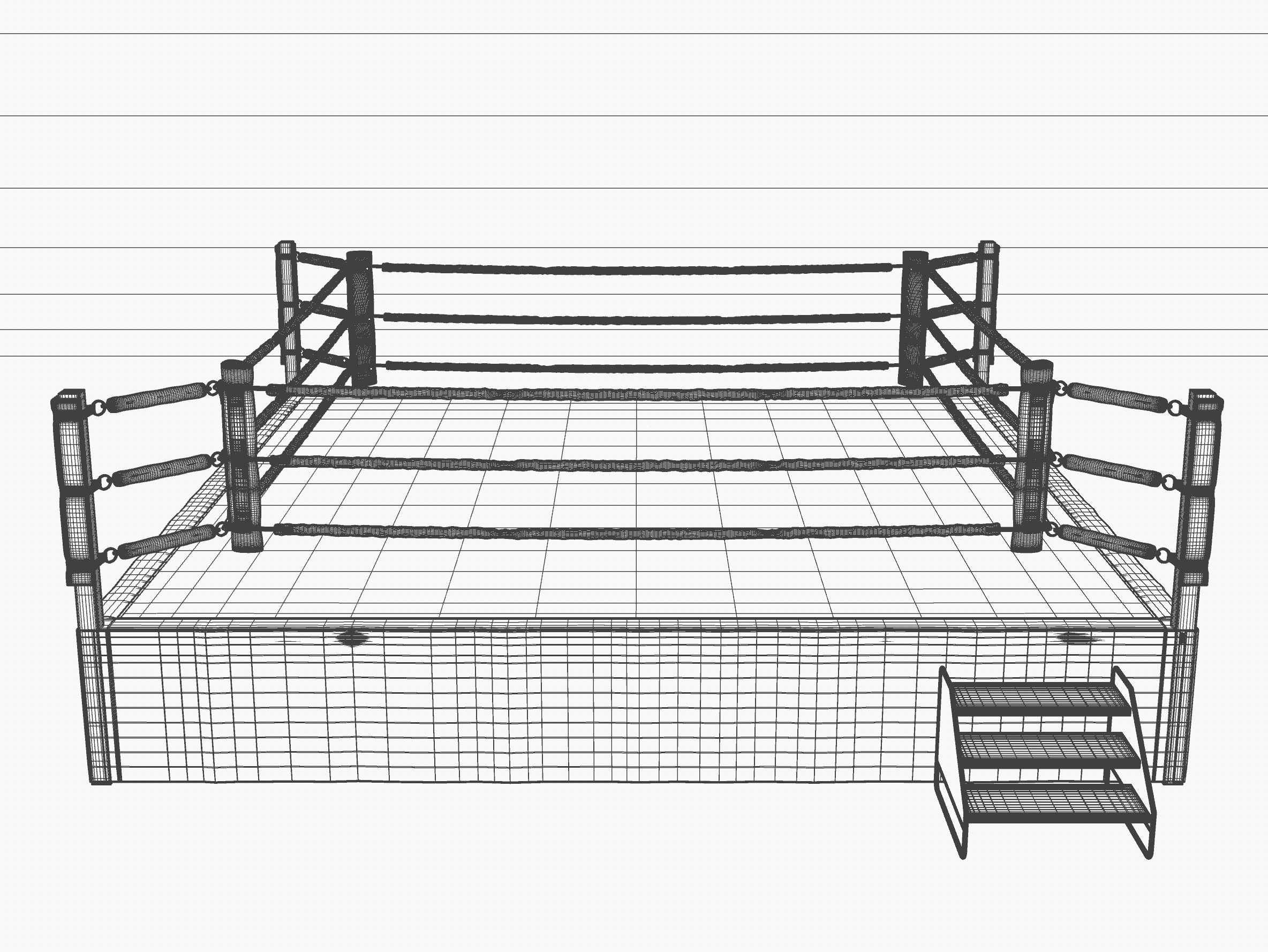 Wrestling Ring REGULATION SIZE 3D model CGTrader
