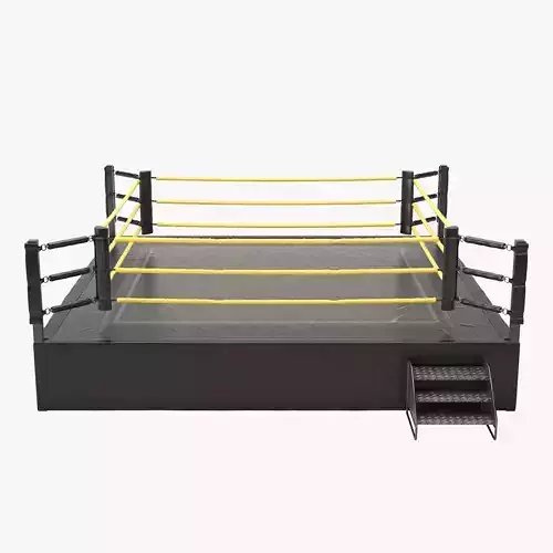 Wrestling Ring REGULATION SIZE 3D model