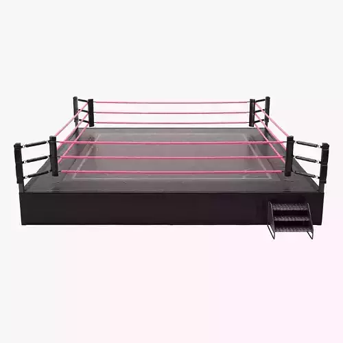 Wrestling Ring OVER SIZED