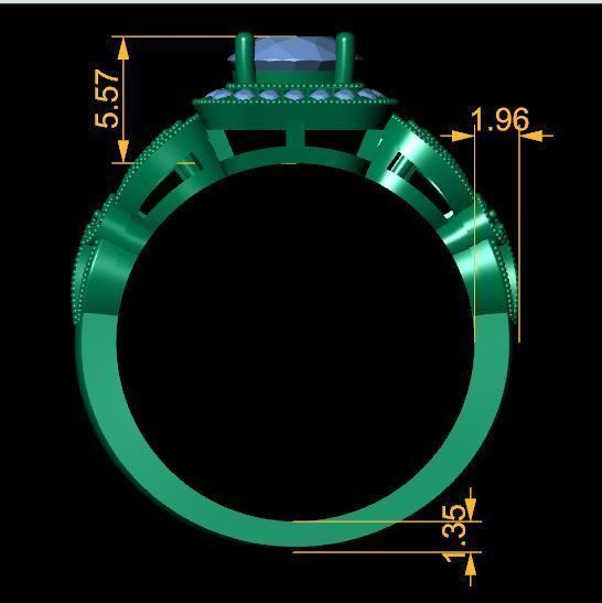 Halo With Fancy Shank Diamond Ring 3d Model 3D print model_3