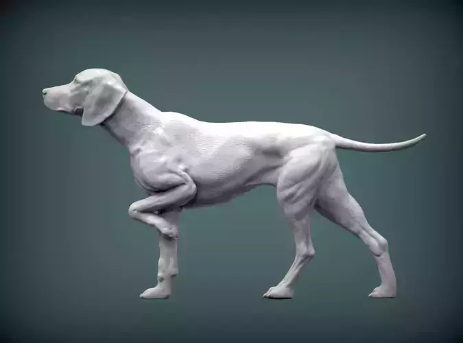 Hungarian vizsla  Dog 3D print model bas-relief 3D print model