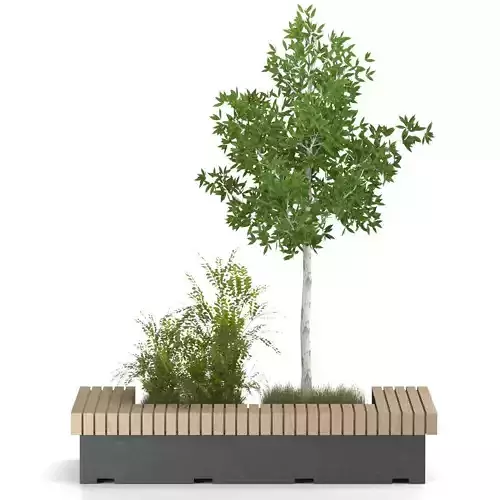 plant-outdoor-01 tree in wooden planter