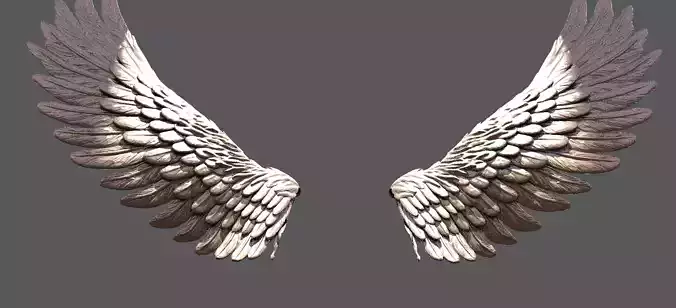 Serafim Wings 1 3D model