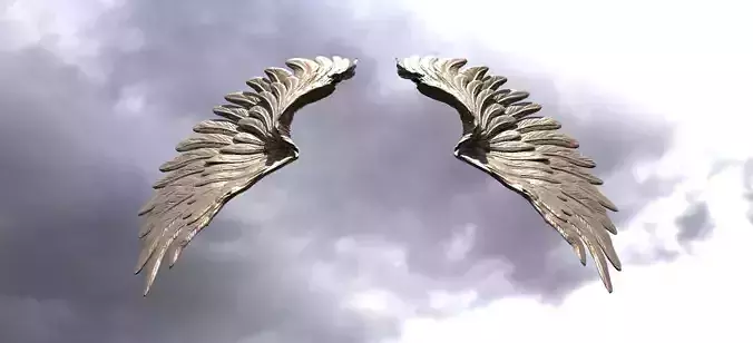 Serafim Curved wings 1 