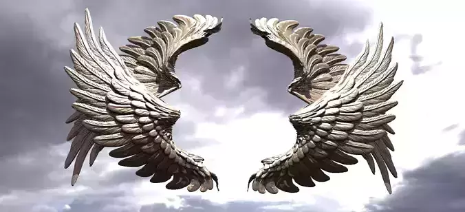 Serafim Curved wings 2 