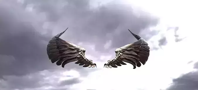 Serafim Curved wings 3