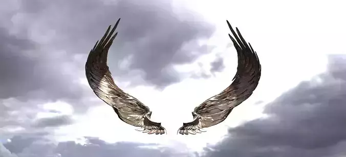 Serafim Curved wings 4 