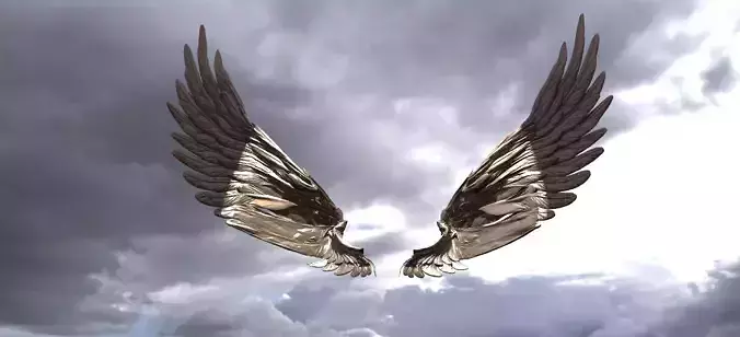 Serafim Curved wings 5