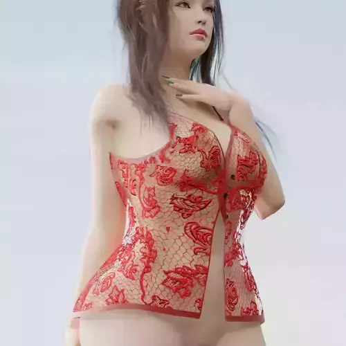 Lingerie Top Blouse 3D model