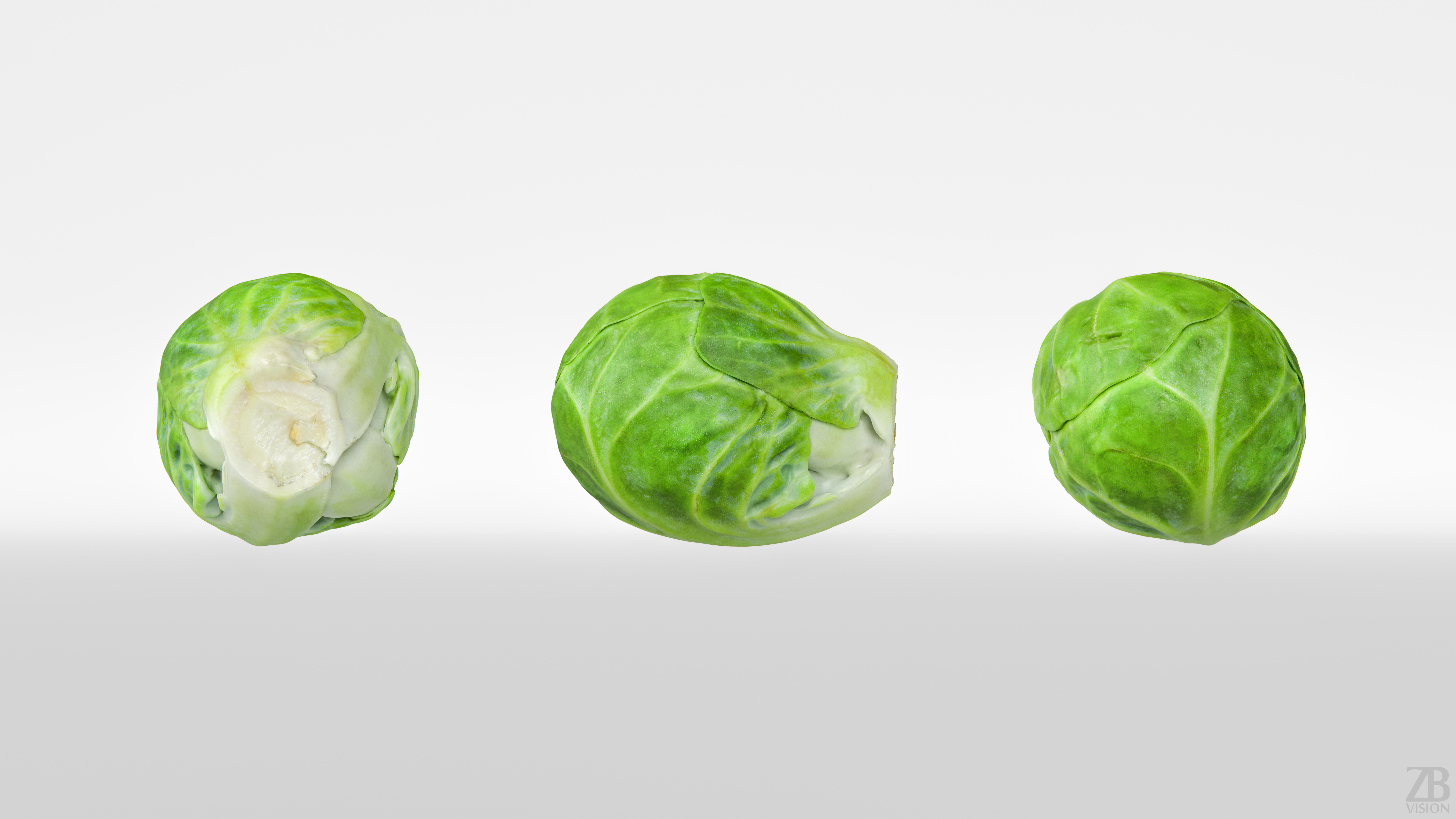 Brussels Sprout 3D model_4